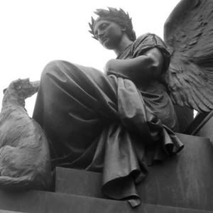 Meet your Posher, Elaine